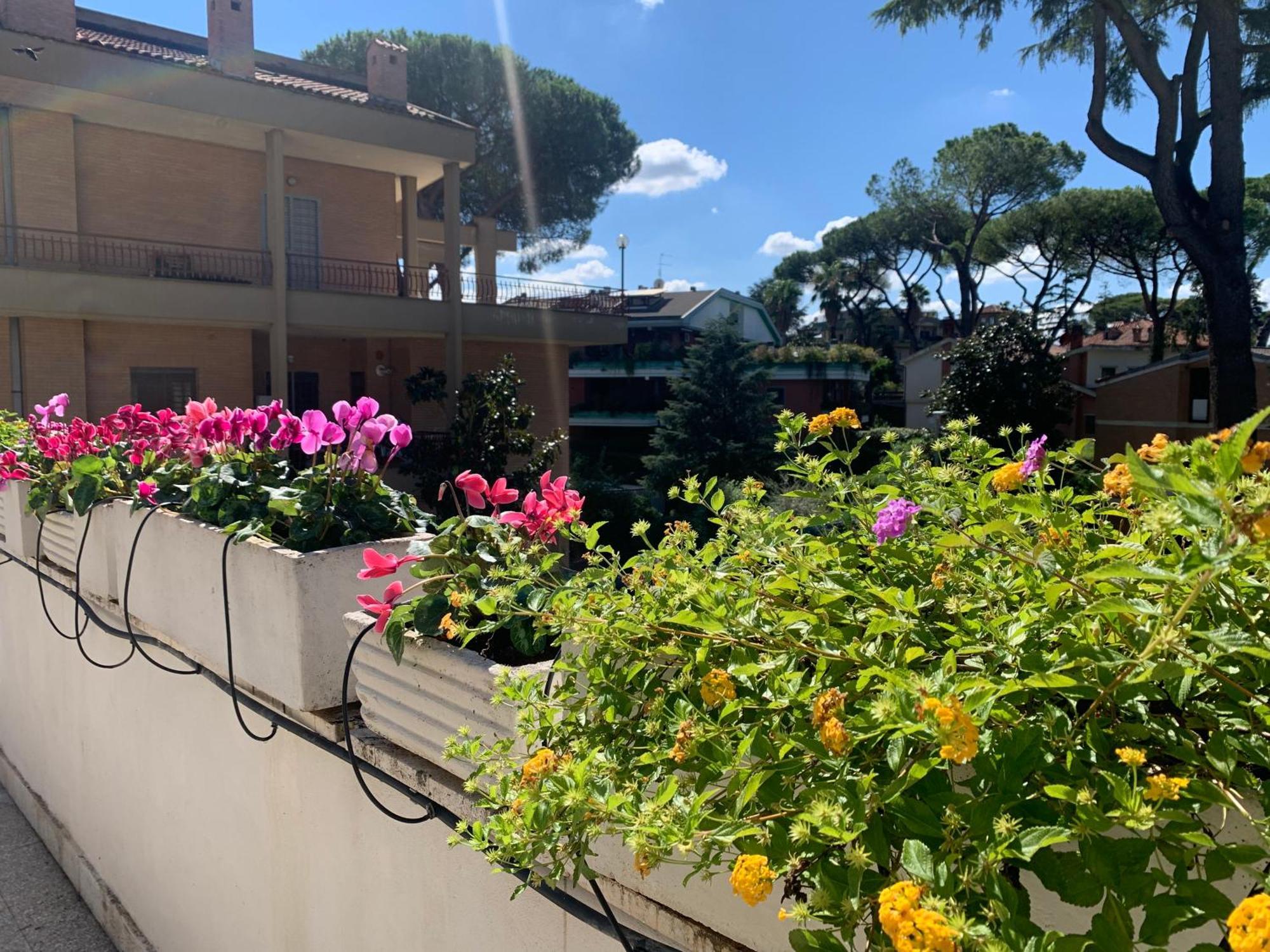 Villa Orsini Roma Eksteriør bilde
