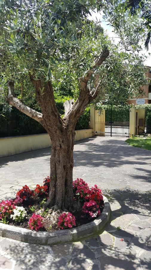 Villa Orsini Roma Eksteriør bilde